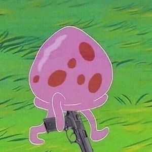 Meet your Posher, Cecilia